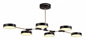 Люстра на штанге EVOLUCE Monta SLE6004-402-06 в Режи - rezh.mebel24.online | фото 2