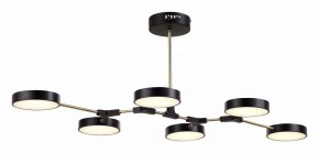 Люстра на штанге EVOLUCE Monta SLE6004-402-06 в Режи - rezh.mebel24.online | фото 4
