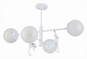 Люстра на штанге EVOLUCE Tenato SLE115102-04 в Режи - rezh.mebel24.online | фото 2