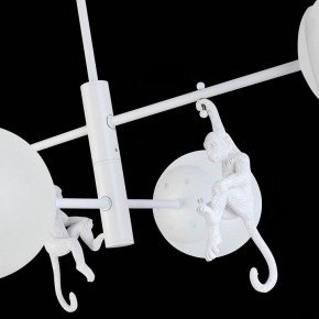 Люстра на штанге EVOLUCE Tenato SLE115102-04 в Режи - rezh.mebel24.online | фото 7