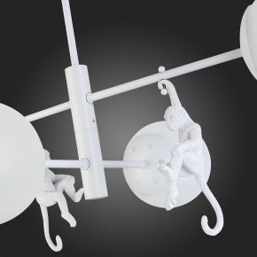 Люстра на штанге EVOLUCE Tenato SLE115102-04 в Режи - rezh.mebel24.online | фото 8