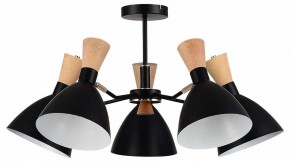Люстра на штанге EVOLUCE VISTA SLE1256-402-05 в Режи - rezh.mebel24.online | фото