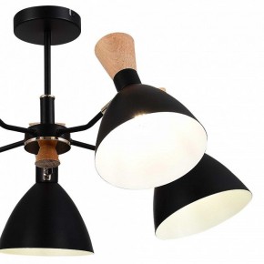 Люстра на штанге EVOLUCE VISTA SLE1256-402-05 в Режи - rezh.mebel24.online | фото 10