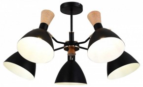 Люстра на штанге EVOLUCE VISTA SLE1256-402-05 в Режи - rezh.mebel24.online | фото 6