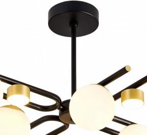Люстра на штанге Favourite Soffiato 3048-8P в Режи - rezh.mebel24.online | фото 4
