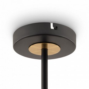 Люстра на штанге Freya Hats FR5370CL-04B в Режи - rezh.mebel24.online | фото 6