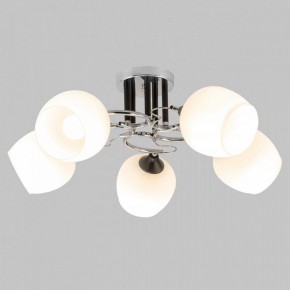 Люстра на штанге Imex MD.3618 MD.3618-5-S-CH+BK в Режи - rezh.mebel24.online | фото 2