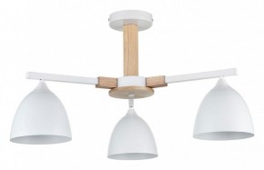 Люстра на штанге Lumion Colange 8095/3C в Режи - rezh.mebel24.online | фото