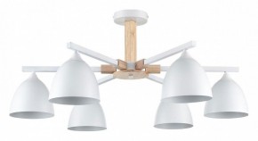 Люстра на штанге Lumion Colange 8095/6C в Режи - rezh.mebel24.online | фото