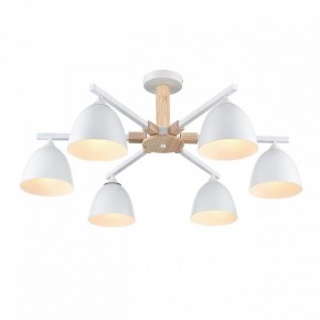 Люстра на штанге Lumion Colange 8095/6C в Режи - rezh.mebel24.online | фото 3