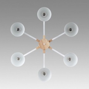 Люстра на штанге Lumion Colange 8095/6C в Режи - rezh.mebel24.online | фото 4