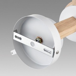 Люстра на штанге Lumion Colange 8095/6C в Режи - rezh.mebel24.online | фото 6