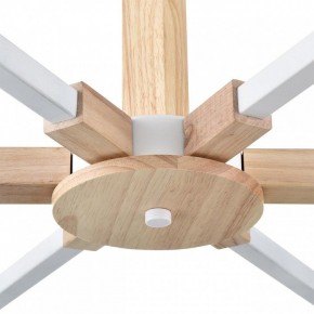 Люстра на штанге Lumion Colange 8095/6C в Режи - rezh.mebel24.online | фото 7