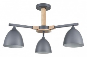 Люстра на штанге Lumion Colange 8096/3C в Режи - rezh.mebel24.online | фото