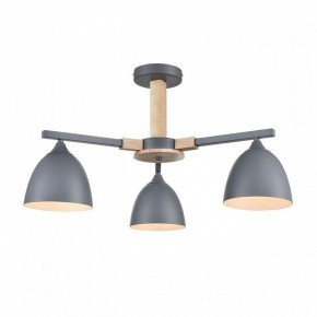 Люстра на штанге Lumion Colange 8096/3C в Режи - rezh.mebel24.online | фото 2