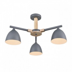 Люстра на штанге Lumion Colange 8096/3C в Режи - rezh.mebel24.online | фото 3
