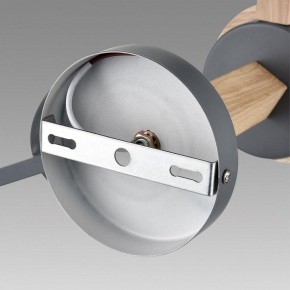 Люстра на штанге Lumion Colange 8096/3C в Режи - rezh.mebel24.online | фото 6