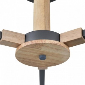Люстра на штанге Lumion Colange 8096/3C в Режи - rezh.mebel24.online | фото 7