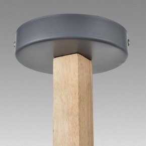 Люстра на штанге Lumion Colange 8096/3C в Режи - rezh.mebel24.online | фото 9