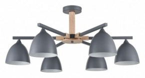 Люстра на штанге Lumion Colange 8096/6C в Режи - rezh.mebel24.online | фото