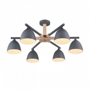 Люстра на штанге Lumion Colange 8096/6C в Режи - rezh.mebel24.online | фото 3