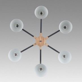 Люстра на штанге Lumion Colange 8096/6C в Режи - rezh.mebel24.online | фото 4