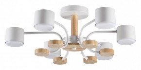 Люстра на штанге Lumion Rondo 8231/6C в Режи - rezh.mebel24.online | фото
