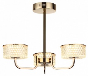 Люстра на штанге Lumion Venice 6579/40CL в Режи - rezh.mebel24.online | фото 5