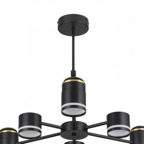 Люстра на штанге Lumion Virsava 8234/6C в Режи - rezh.mebel24.online | фото 5