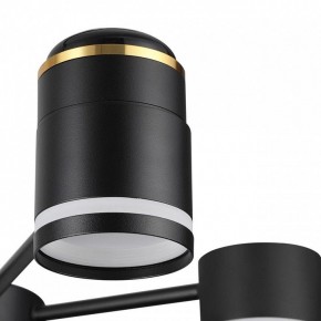 Люстра на штанге Lumion Virsava 8234/6C в Режи - rezh.mebel24.online | фото 8