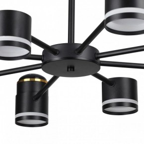 Люстра на штанге Lumion Virsava 8234/8C в Режи - rezh.mebel24.online | фото 10