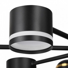 Люстра на штанге Lumion Virsava 8234/8C в Режи - rezh.mebel24.online | фото 8