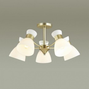 Люстра на штанге Lumion Wilma 4535/5C в Режи - rezh.mebel24.online | фото 3
