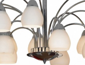 Люстра на штанге Lussole Apiro GRLSF-2403-15 в Режи - rezh.mebel24.online | фото 12