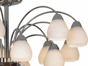 Люстра на штанге Lussole Apiro LSF-2403-15 в Режи - rezh.mebel24.online | фото 3