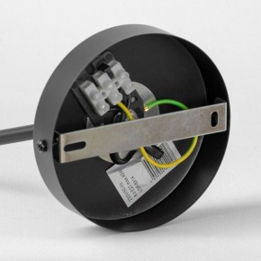 Люстра на штанге Lussole LSP-891 LSP-8914 в Режи - rezh.mebel24.online | фото 4
