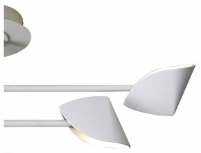 Люстра на штанге Mantra Capuccina 7574 в Режи - rezh.mebel24.online | фото 3