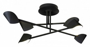 Люстра на штанге Mantra Capuccina 7581 в Режи - rezh.mebel24.online | фото 1