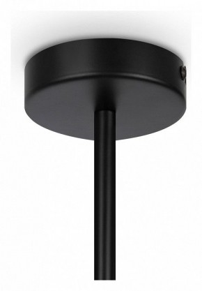 Люстра на штанге Maytoni Memory MOD177PL-04B в Режи - rezh.mebel24.online | фото 4