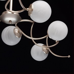 Люстра на штанге MW-Light Оливия 5 306012709 в Режи - rezh.mebel24.online | фото 10