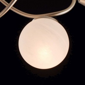 Люстра на штанге MW-Light Оливия 5 306012709 в Режи - rezh.mebel24.online | фото 6