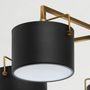 Люстра на штанге MW-Light Сайрус 2 721010205 в Режи - rezh.mebel24.online | фото 10