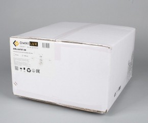 Люстра на штанге Omnilux Alghero OML-64707-09 в Режи - rezh.mebel24.online | фото 5