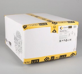 Люстра на штанге Omnilux Arosio OML-88417-06 в Режи - rezh.mebel24.online | фото 6