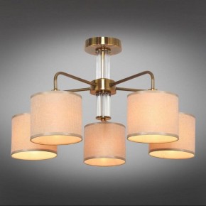 Люстра на штанге Omnilux Barumini OML-56907-05 в Режи - rezh.mebel24.online | фото 2