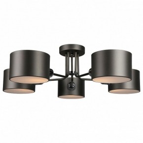 Люстра на штанге Omnilux Lisera OML-54507-05 в Режи - rezh.mebel24.online | фото 2