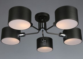 Люстра на штанге Omnilux Lisera OML-54507-05 в Режи - rezh.mebel24.online | фото 3