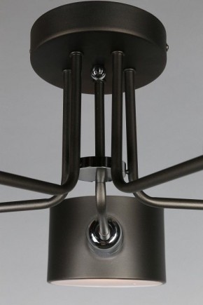 Люстра на штанге Omnilux Lisera OML-54507-05 в Режи - rezh.mebel24.online | фото 6