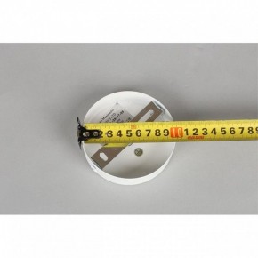 Люстра на штанге Omnilux Mearino OML-29717-08 в Режи - rezh.mebel24.online | фото 10