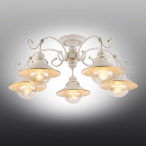 Люстра на штанге Omnilux Torri OML-50807-05 в Режи - rezh.mebel24.online | фото 2